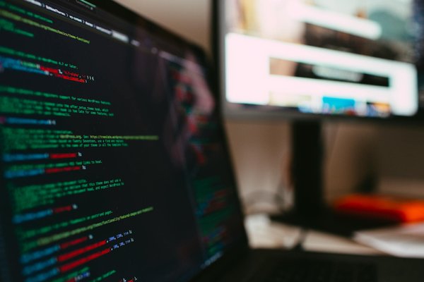 Alla scoperta degli animali domestici e del loro amore